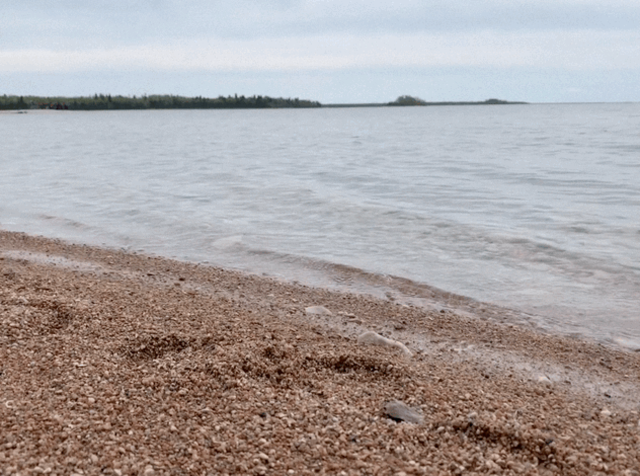 Featured image for “Do Wildlife Management Areas Protect Habitats?”